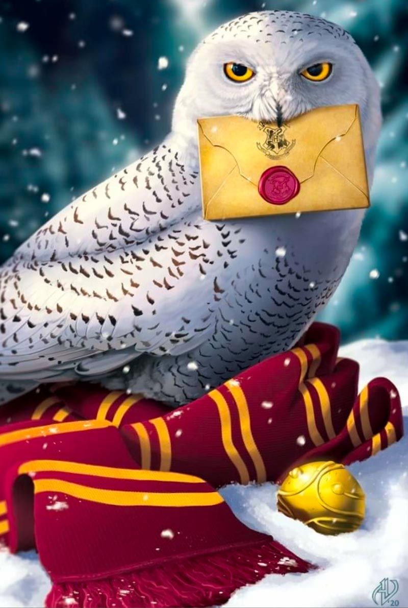 Harry Potter Hedwig Puzzle