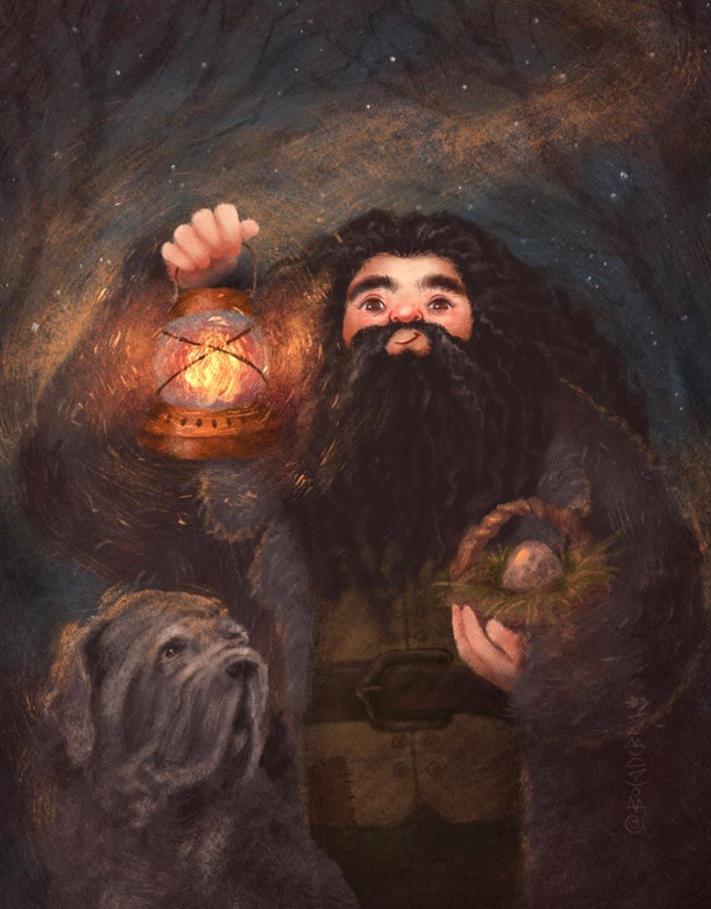 Harry Potter Hagrid Puzzle